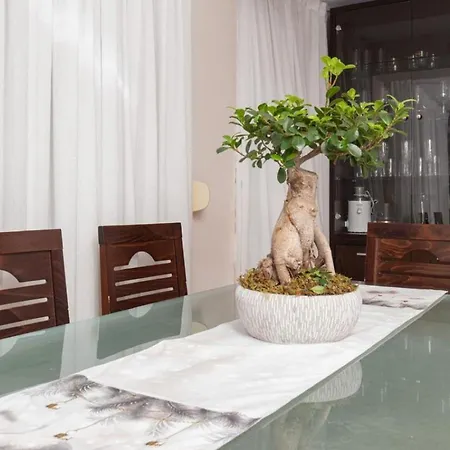Chic & Serene Apartment-your Relaxing Oasis 티라나